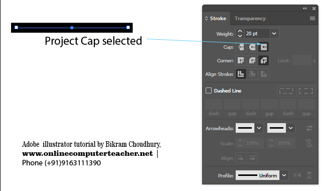 Project Cap selected in Adobe illustrator stroke panel - onlinecomputerteacher.net 